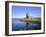 Dunguaire Castle, Kinvarra Bay, County Galway, Connacht, Republic of Ireland (Eire), Europe-Roy Rainford-Framed Photographic Print