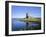 Dunguaire Castle, Kinvarra Bay, County Galway, Connacht, Republic of Ireland (Eire), Europe-Roy Rainford-Framed Photographic Print