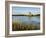 Dunguaire (Dungory) Castle, Kinvarra, County Galway, Connacht, Republic of Ireland (Eire), Europe-Gary Cook-Framed Photographic Print