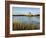 Dunguaire (Dungory) Castle, Kinvarra, County Galway, Connacht, Republic of Ireland (Eire), Europe-Gary Cook-Framed Photographic Print