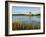 Dunguaire (Dungory) Castle, Kinvarra, County Galway, Connacht, Republic of Ireland (Eire), Europe-Gary Cook-Framed Photographic Print