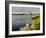 Dunguaire (Dungory) Castle, Kinvarra, County Galway, Connacht, Republic of Ireland-Gary Cook-Framed Photographic Print