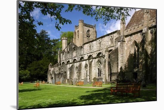 Dunkeld Cathedral, Perthshire, Scotland-Peter Thompson-Mounted Photographic Print