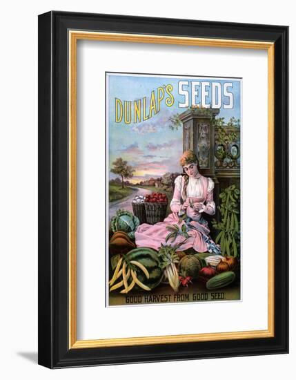 Dunlap's Seeds Nashua NH-null-Framed Art Print