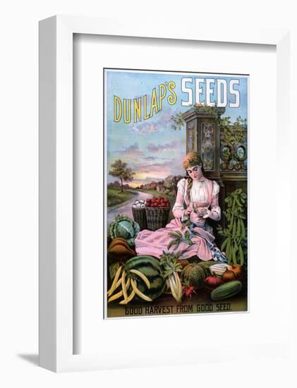 Dunlap's Seeds Nashua NH-null-Framed Art Print