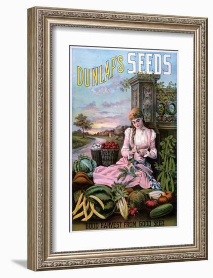 Dunlap's Seeds Nashua NH-null-Framed Art Print