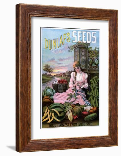 Dunlap's Seeds Nashua NH-null-Framed Art Print