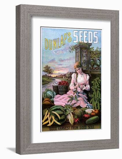 Dunlap's Seeds Nashua NH-null-Framed Art Print