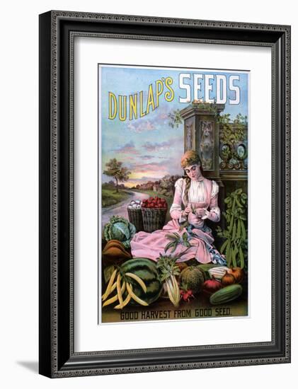 Dunlap's Seeds Nashua NH-null-Framed Art Print