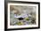 Dunlin portrait, Vardo, Finnmark, Norway-Markus Varesvuo-Framed Photographic Print