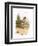 Dunlin-English-Framed Premium Giclee Print