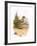 Dunlin-English-Framed Giclee Print