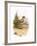 Dunlin-English-Framed Giclee Print