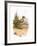 Dunlin-English-Framed Giclee Print