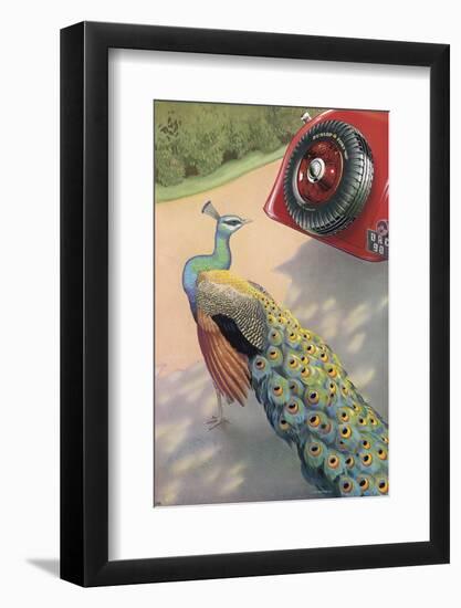 Photographic Print, , large