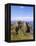 Dunluce Castle, County Antrim, Northern Ireland, UK, Europe-Charles Bowman-Framed Premier Image Canvas