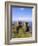 Dunluce Castle, County Antrim, Northern Ireland, UK, Europe-Charles Bowman-Framed Photographic Print