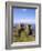 Dunluce Castle, County Antrim, Northern Ireland, UK, Europe-Charles Bowman-Framed Photographic Print