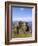 Dunluce Castle, County Antrim, Northern Ireland, UK, Europe-Charles Bowman-Framed Photographic Print