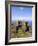 Dunluce Castle, County Antrim, Northern Ireland, UK, Europe-Charles Bowman-Framed Photographic Print