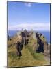 Dunluce Castle, County Antrim, Northern Ireland, UK, Europe-Charles Bowman-Mounted Photographic Print