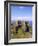 Dunluce Castle, County Antrim, Northern Ireland, UK, Europe-Charles Bowman-Framed Photographic Print