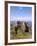 Dunluce Castle, County Antrim, Northern Ireland, UK, Europe-Charles Bowman-Framed Photographic Print