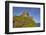 Dunluce Castle, near Portrush, County Antrim, Ulster, Northern Ireland, United Kingdom, Europe-Nigel Hicks-Framed Photographic Print