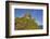 Dunluce Castle, near Portrush, County Antrim, Ulster, Northern Ireland, United Kingdom, Europe-Nigel Hicks-Framed Photographic Print