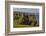 Dunluce Castle, near Portrush, County Antrim, Ulster, Northern Ireland, United Kingdom, Europe-Nigel Hicks-Framed Photographic Print