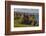 Dunluce Castle, near Portrush, County Antrim, Ulster, Northern Ireland, United Kingdom, Europe-Nigel Hicks-Framed Photographic Print