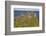 Dunluce Castle, near Portrush, County Antrim, Ulster, Northern Ireland, United Kingdom, Europe-Nigel Hicks-Framed Photographic Print