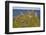 Dunluce Castle, near Portrush, County Antrim, Ulster, Northern Ireland, United Kingdom, Europe-Nigel Hicks-Framed Photographic Print