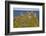 Dunluce Castle, near Portrush, County Antrim, Ulster, Northern Ireland, United Kingdom, Europe-Nigel Hicks-Framed Photographic Print