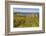 Dunluce Castle, near Portrush, County Antrim, Ulster, Northern Ireland, United Kingdom, Europe-Nigel Hicks-Framed Photographic Print