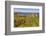 Dunluce Castle, near Portrush, County Antrim, Ulster, Northern Ireland, United Kingdom, Europe-Nigel Hicks-Framed Photographic Print