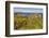 Dunluce Castle, near Portrush, County Antrim, Ulster, Northern Ireland, United Kingdom, Europe-Nigel Hicks-Framed Photographic Print