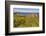 Dunluce Castle, near Portrush, County Antrim, Ulster, Northern Ireland, United Kingdom, Europe-Nigel Hicks-Framed Photographic Print