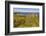 Dunluce Castle, near Portrush, County Antrim, Ulster, Northern Ireland, United Kingdom, Europe-Nigel Hicks-Framed Photographic Print