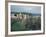 Dunluce Castle on Cliff, Northern Ireland-Pat Canova-Framed Photographic Print