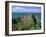 Dunluce Castle on Rocky Coastline, County Antrim, Ulster, Northern Ireland, UK, Europe-Gavin Hellier-Framed Photographic Print