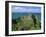 Dunluce Castle on Rocky Coastline, County Antrim, Ulster, Northern Ireland, UK, Europe-Gavin Hellier-Framed Photographic Print