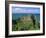 Dunluce Castle on Rocky Coastline, County Antrim, Ulster, Northern Ireland, UK, Europe-Gavin Hellier-Framed Photographic Print