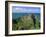 Dunluce Castle on Rocky Coastline, County Antrim, Ulster, Northern Ireland, UK, Europe-Gavin Hellier-Framed Photographic Print