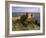 Dunluce Castle,Portrush, County Antrim, Ulster, Northern Ireland, UK-Patrick Dieudonne-Framed Photographic Print