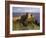 Dunluce Castle,Portrush, County Antrim, Ulster, Northern Ireland, UK-Patrick Dieudonne-Framed Photographic Print