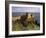 Dunluce Castle,Portrush, County Antrim, Ulster, Northern Ireland, UK-Patrick Dieudonne-Framed Photographic Print