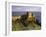 Dunluce Castle,Portrush, County Antrim, Ulster, Northern Ireland, UK-Patrick Dieudonne-Framed Photographic Print
