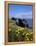 Dunluce-Charles Bowman-Framed Premier Image Canvas