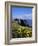 Dunluce-Charles Bowman-Framed Photographic Print